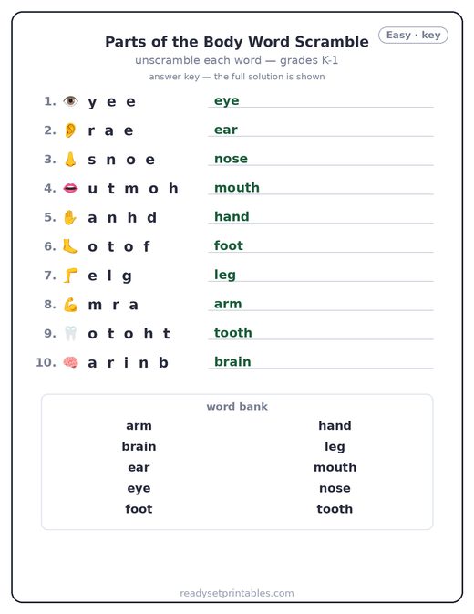 Parts of the Body word scramble puzzle, easy answer key — free printable