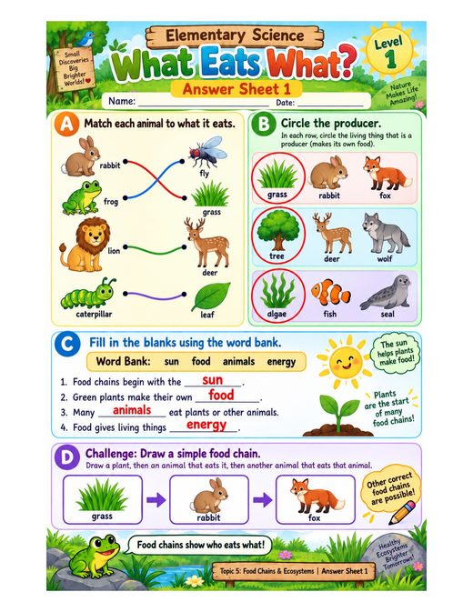what eats what? — free printable food chains and ecosystems worksheet for kids answer key