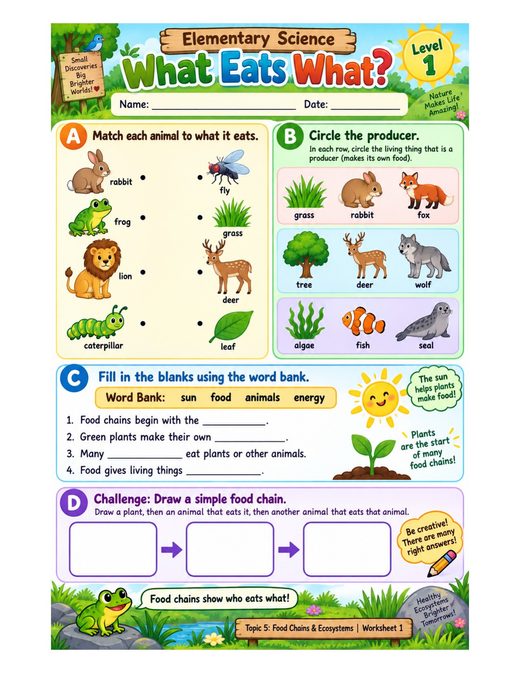 Food Chains and Ecosystems Worksheets