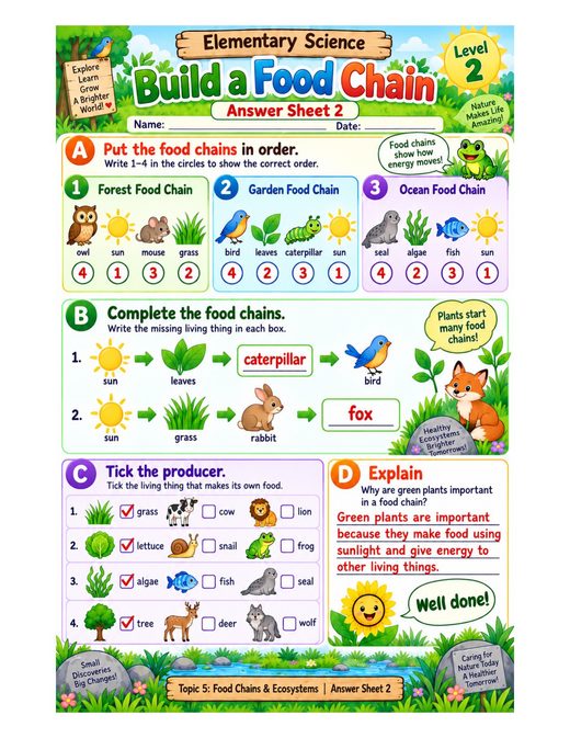 build a food chain — free printable food chains and ecosystems worksheet for kids answer key