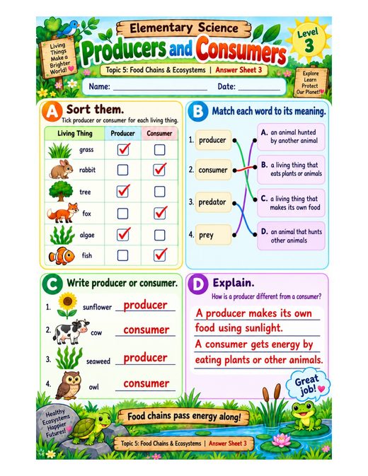 producers and consumers — free printable food chains and ecosystems worksheet for kids answer key