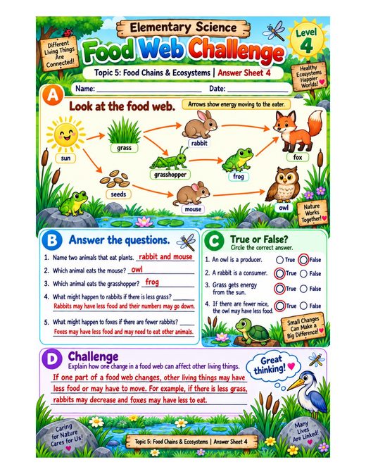 food web challenge — free printable food chains and ecosystems worksheet for kids answer key