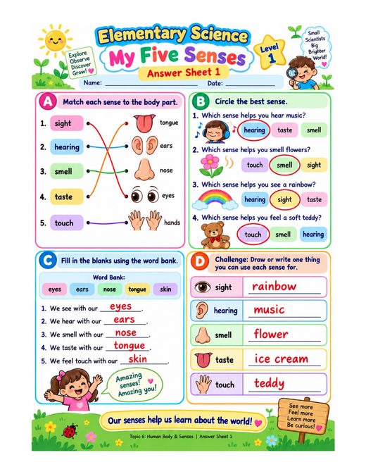 my five senses — free printable human body and senses worksheet for kids answer key