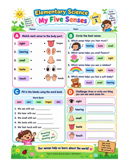 Human Body and Senses Worksheets