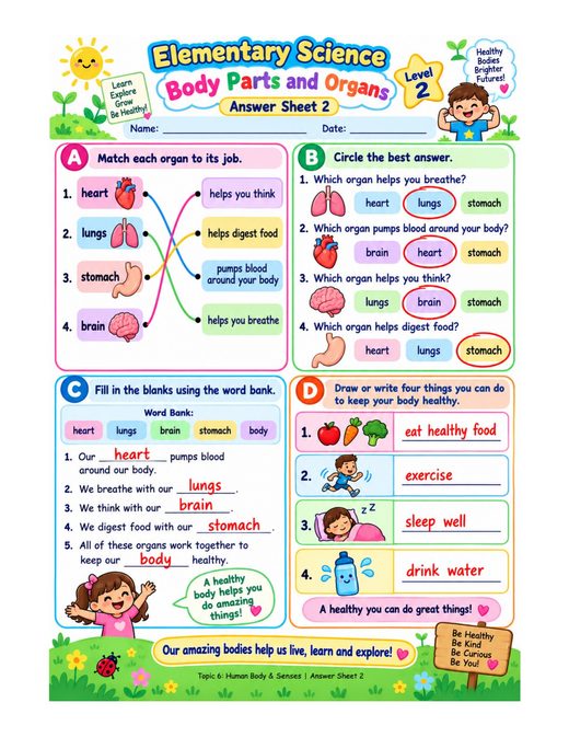 body parts and organs — free printable human body and senses worksheet for kids answer key