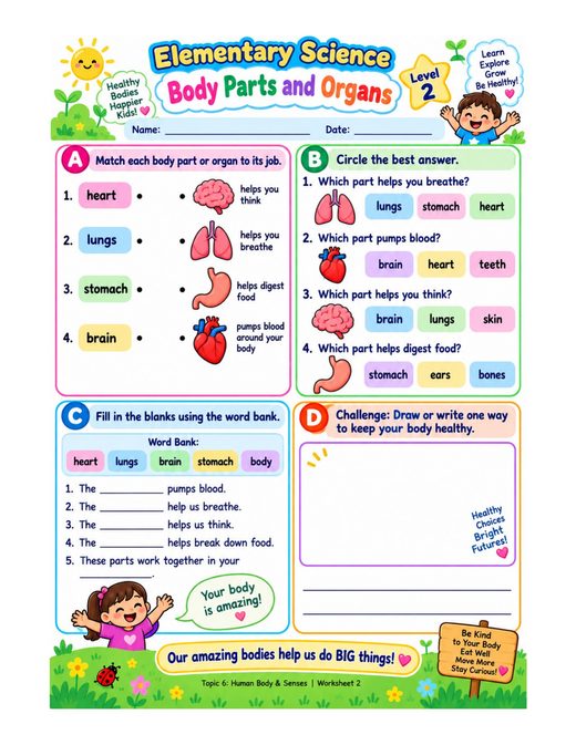 body parts and organs — free printable human body and senses worksheet for kids