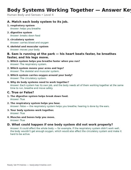 body systems working together — free printable human body and senses worksheet for kids answer key
