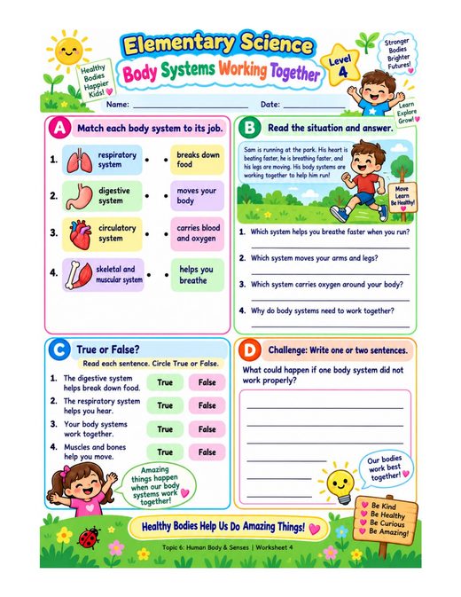 body systems working together — free printable human body and senses worksheet for kids