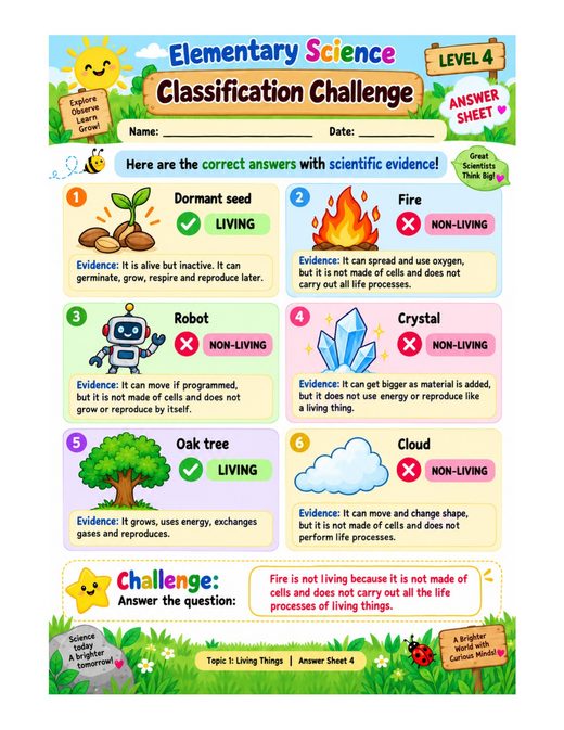 classification challenge — free printable living things worksheet for kids answer key