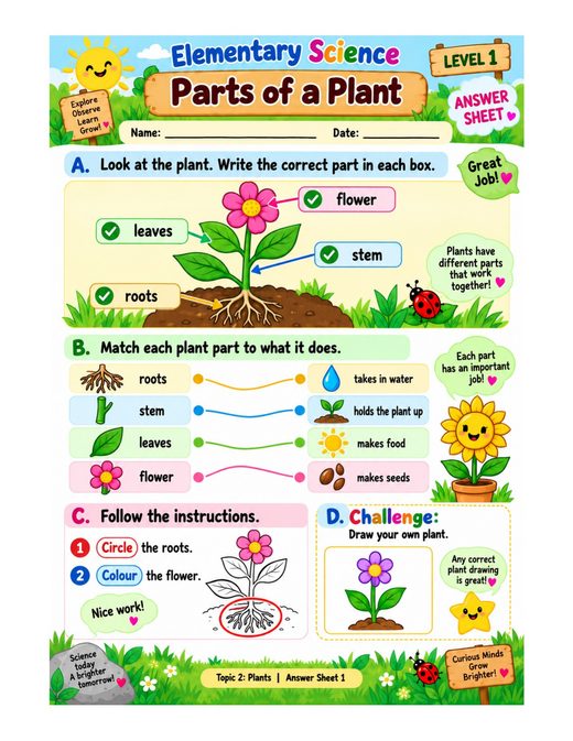 parts of a plant — free printable plants worksheet for kids answer key