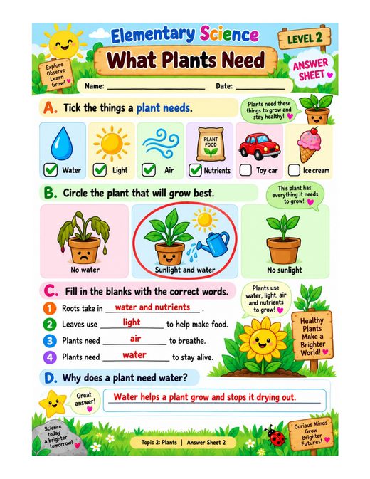 what plants need — free printable plants worksheet for kids answer key