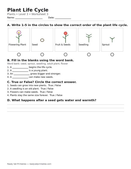 plants — free printable plants worksheet for kids